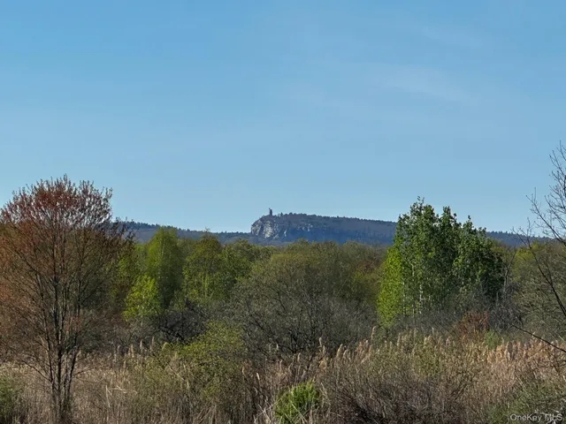 a view of a field with a tree in the background