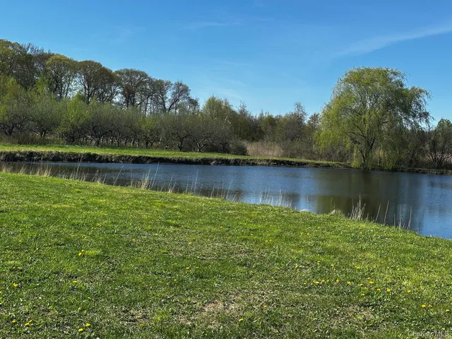 a view of a lake with a mountain in the background