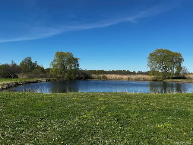 a view of lake with green space