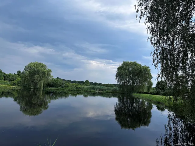 a lake view with a garden