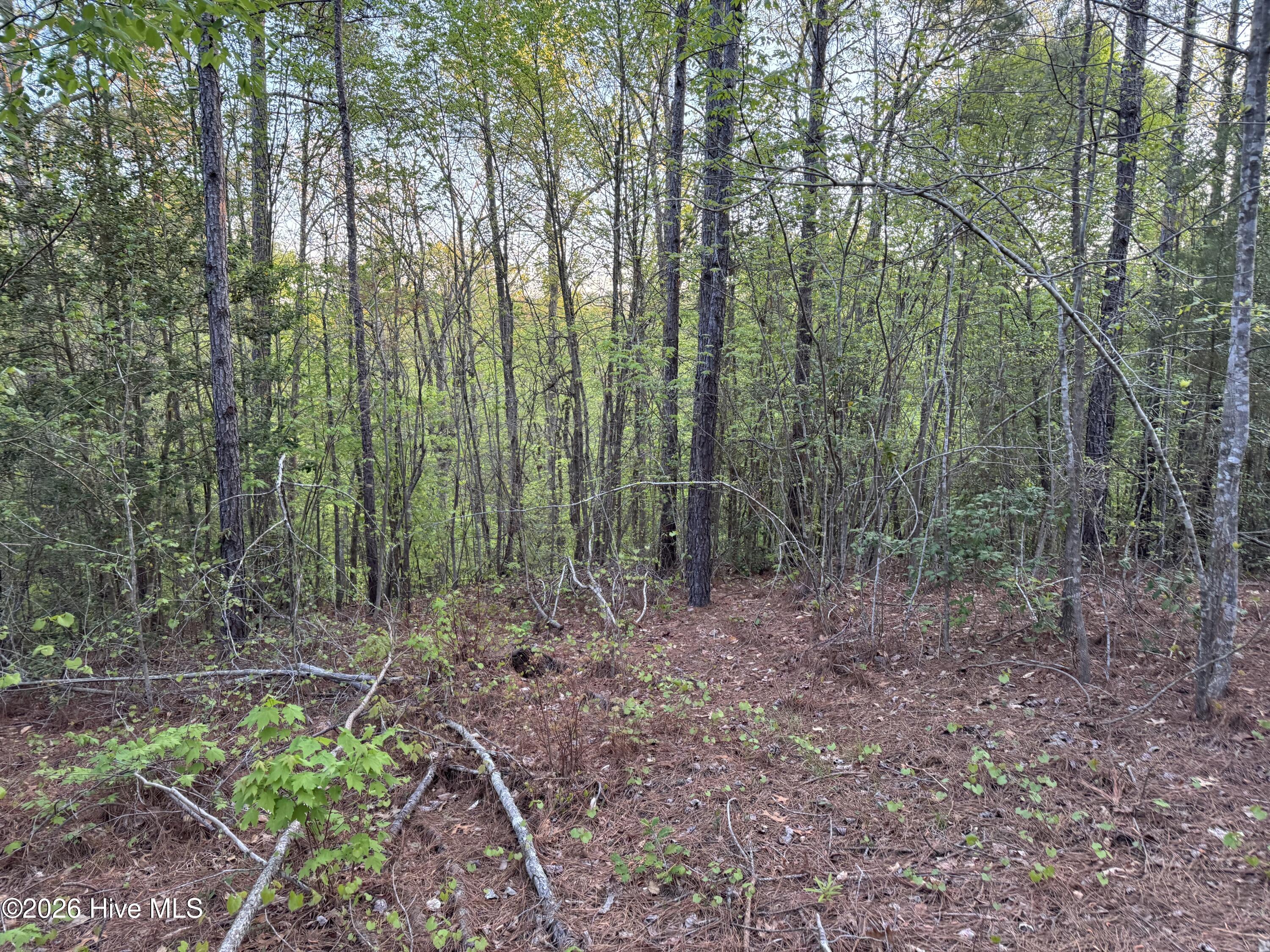 0 Cartledge Creek Road Rockingham, NC 28379 - Photo 26 of 32 Cartledge Creek