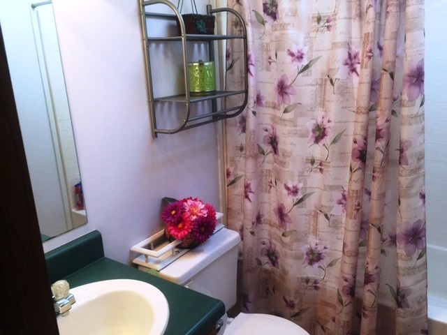 2751 South Jerome Road Ithaca, MI 48847 - Photo 11 of 14 1825218-10.JPG