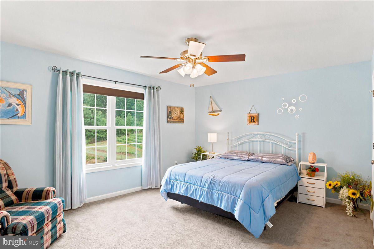1309 Redland Road Cross Junction, VA 22625 - Photo 30 of 84