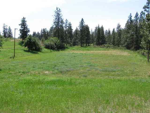 18607 South Short Road Cheney, WA 99004 - Photo 7 of 9