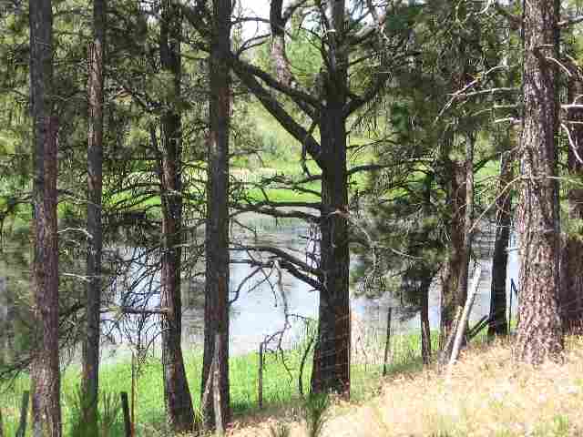 18607 South Short Road Cheney, WA 99004 - Photo 8 of 9