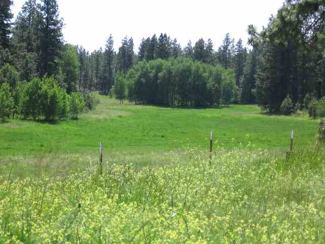 18607 South Short Road Cheney, WA 99004 - Photo 9 of 9
