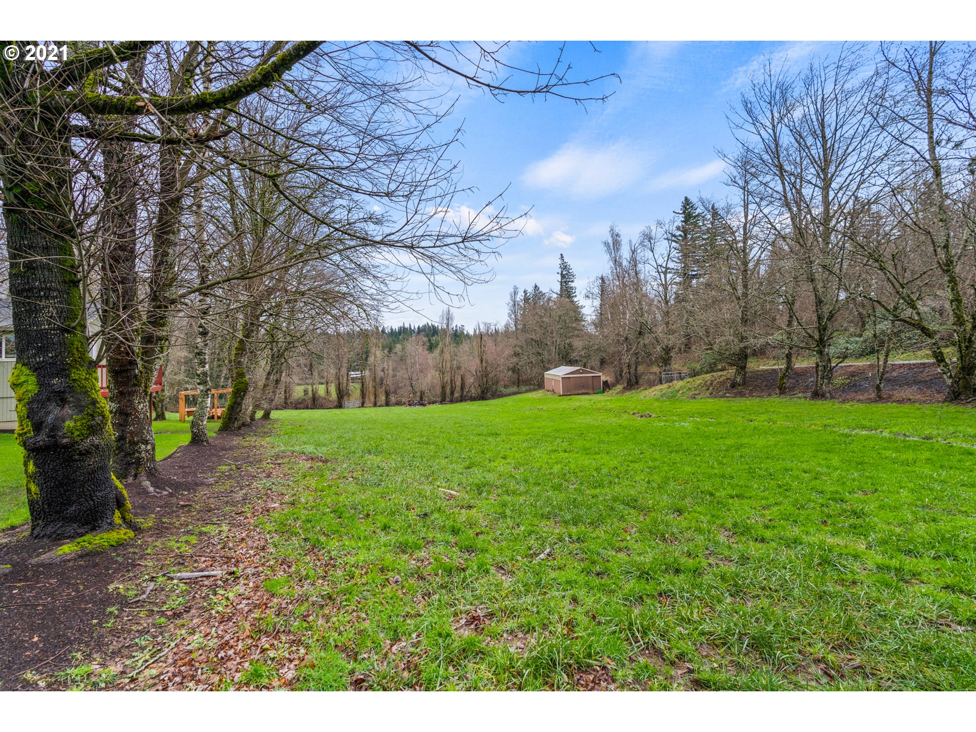 716 Northeast Evans Road Corbett, OR 97019 - Photo 29 of 32 a view of yard with tree s