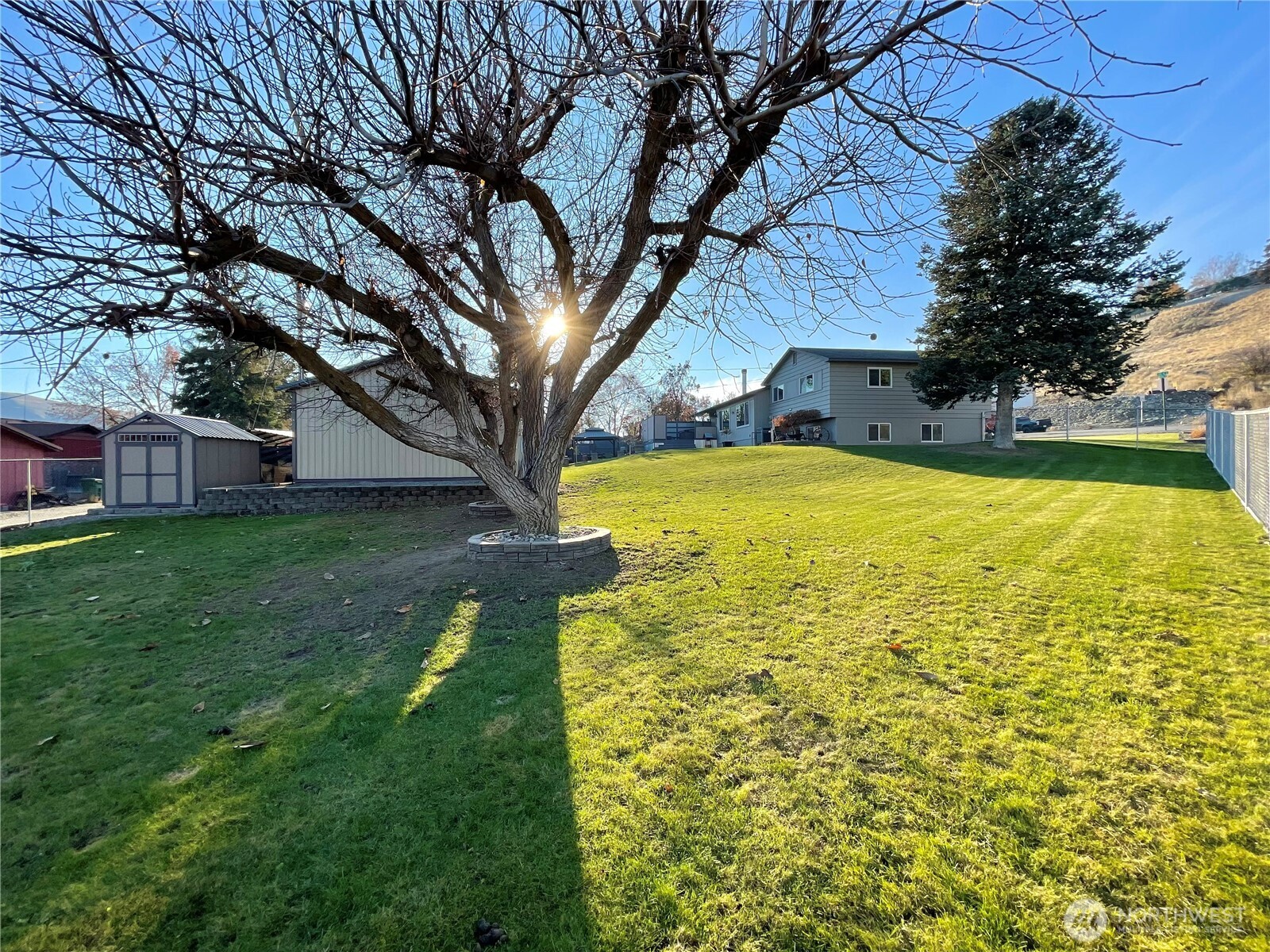 1180 4th Avenue North Okanogan, WA 98840 - Photo 34 of 40 a view of a yard with a house and large trees