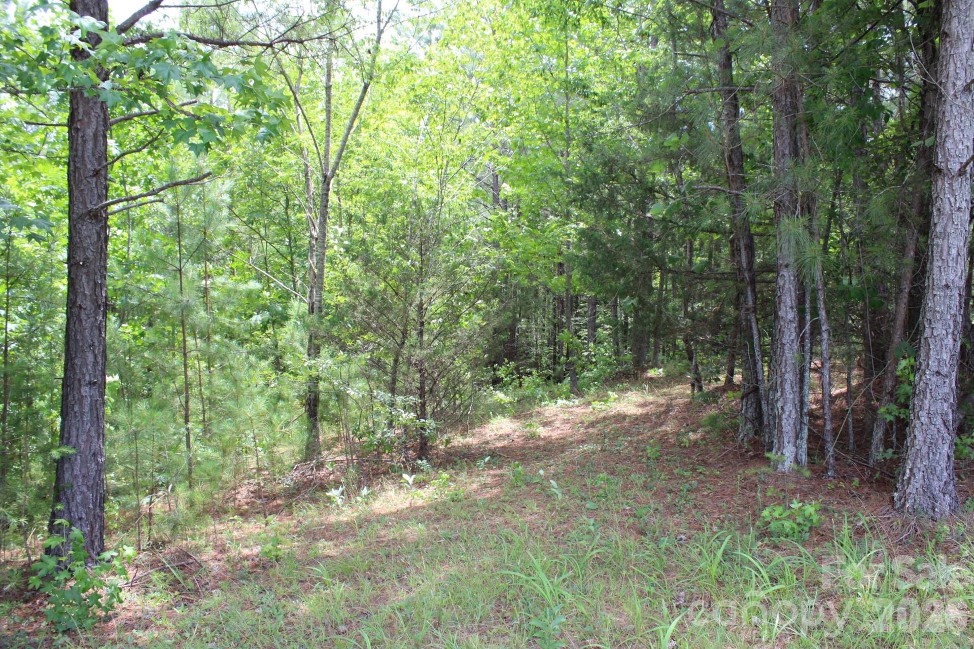 0 John Watson Road Rutherfordton, NC 28139 - Photo 11 of 26 Gallery Image 11