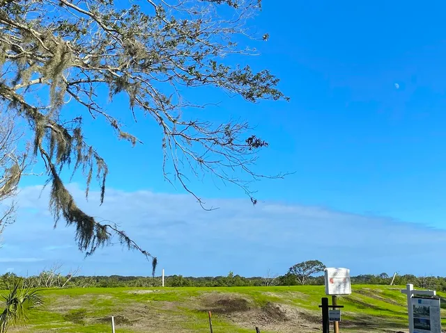 a view of a yard with an outdoor space