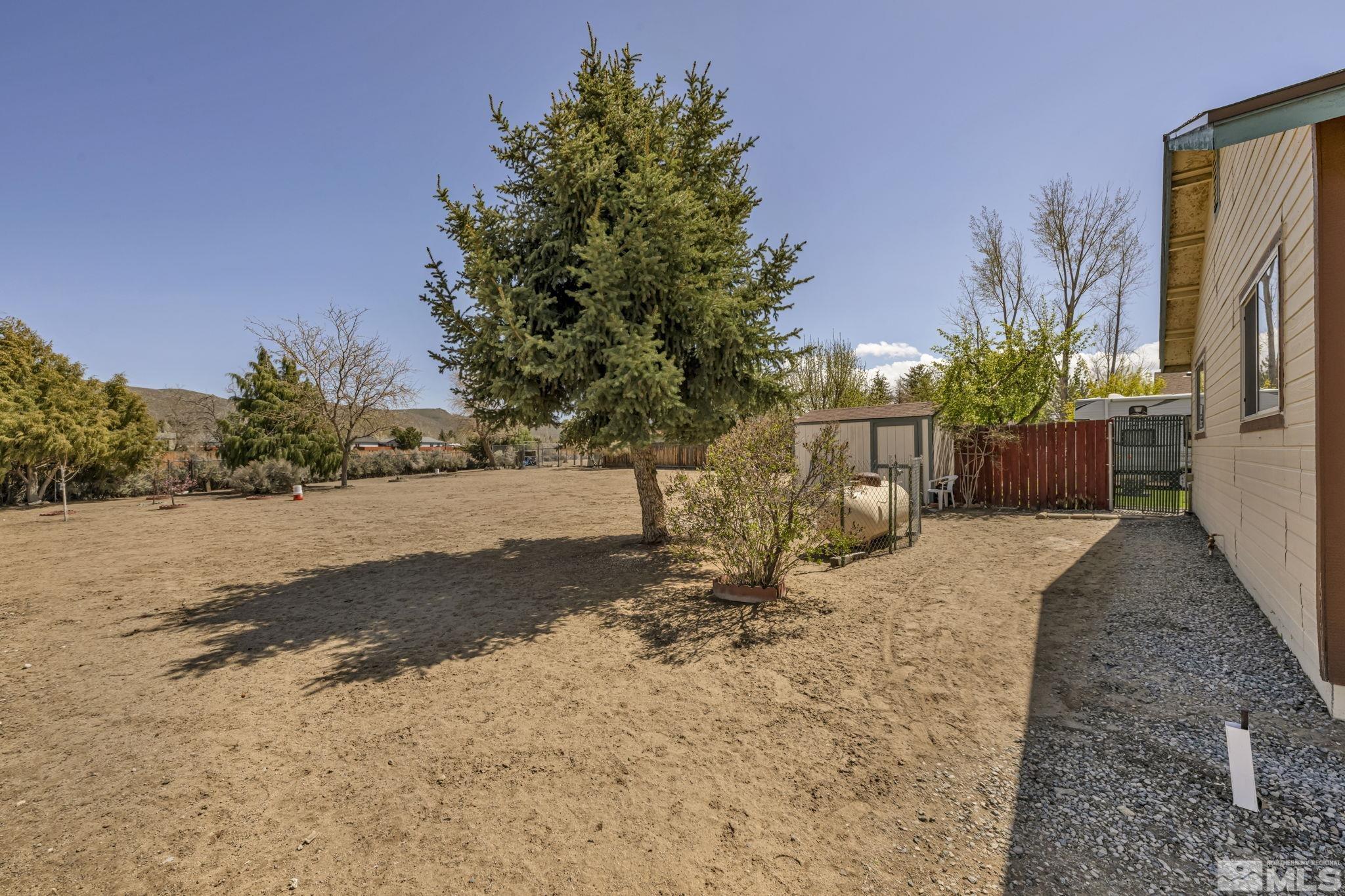 17575 Blackbird Drive Reno, NV 89508 - Photo 8 of 29 a view of a yard with potted plants