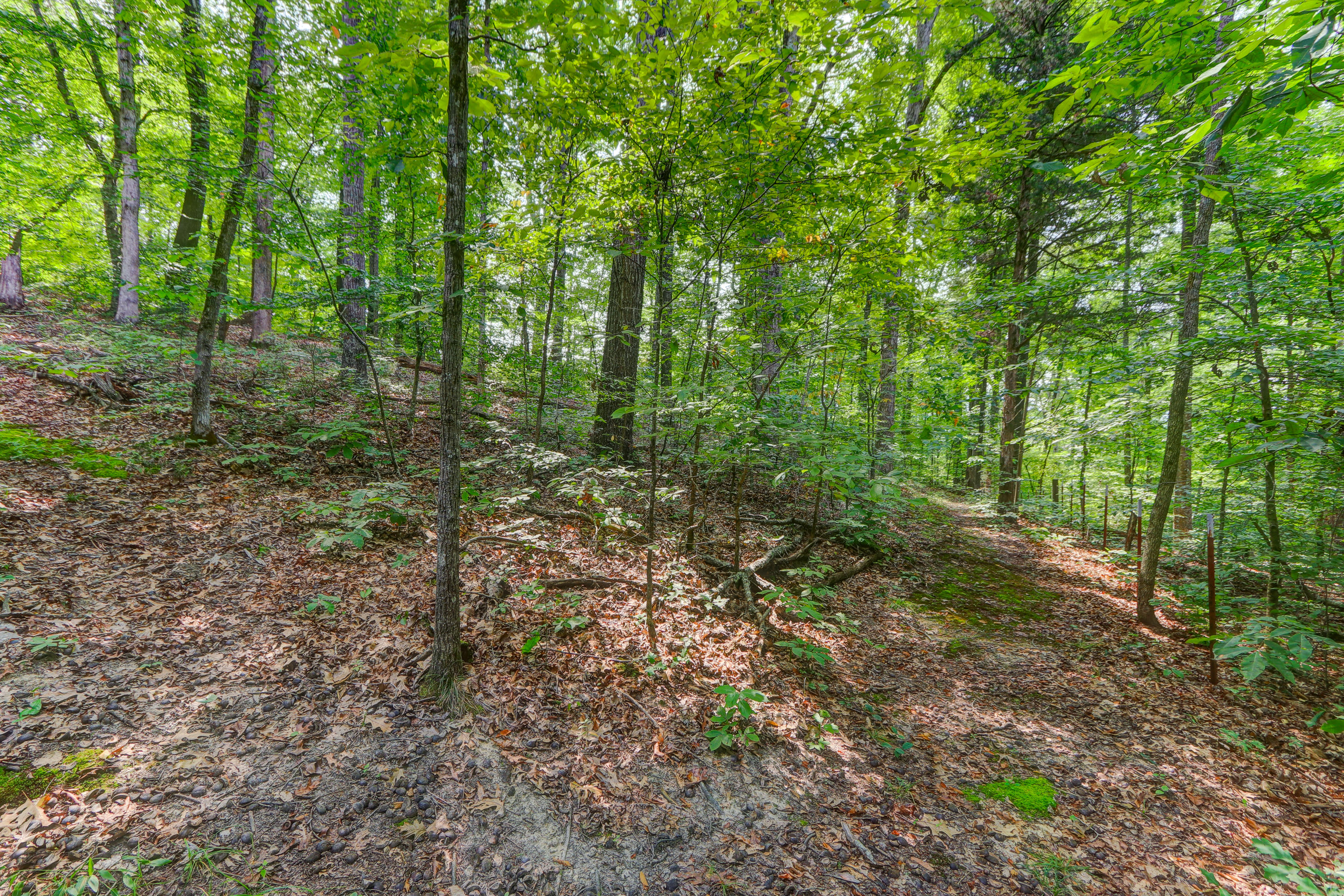 Indian Creek Dandridge, TN 37725 - Photo 11 of 14 Positive Perceptions-5