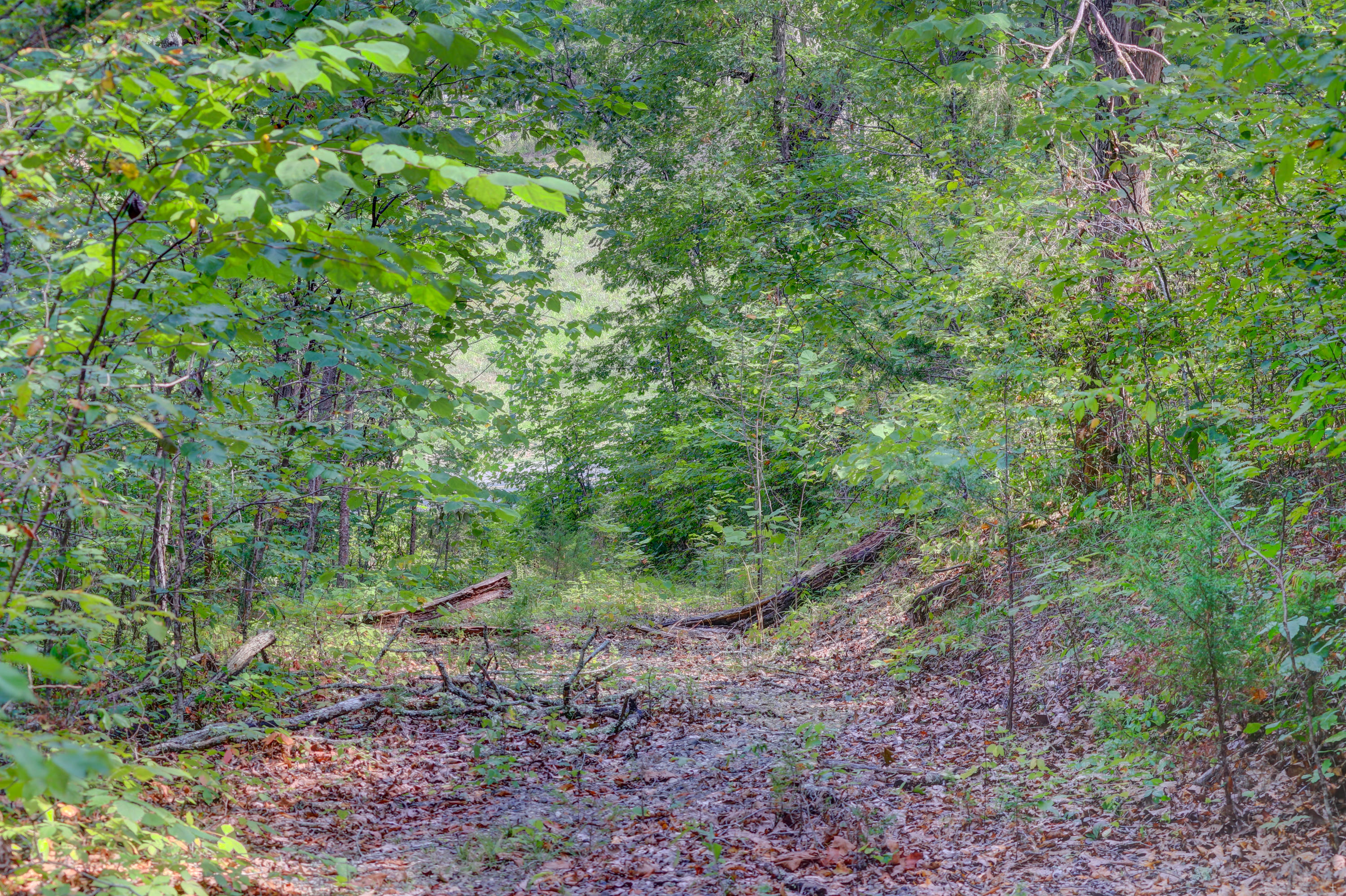 Indian Creek Dandridge, TN 37725 - Photo 14 of 14 Positive Perceptions-7