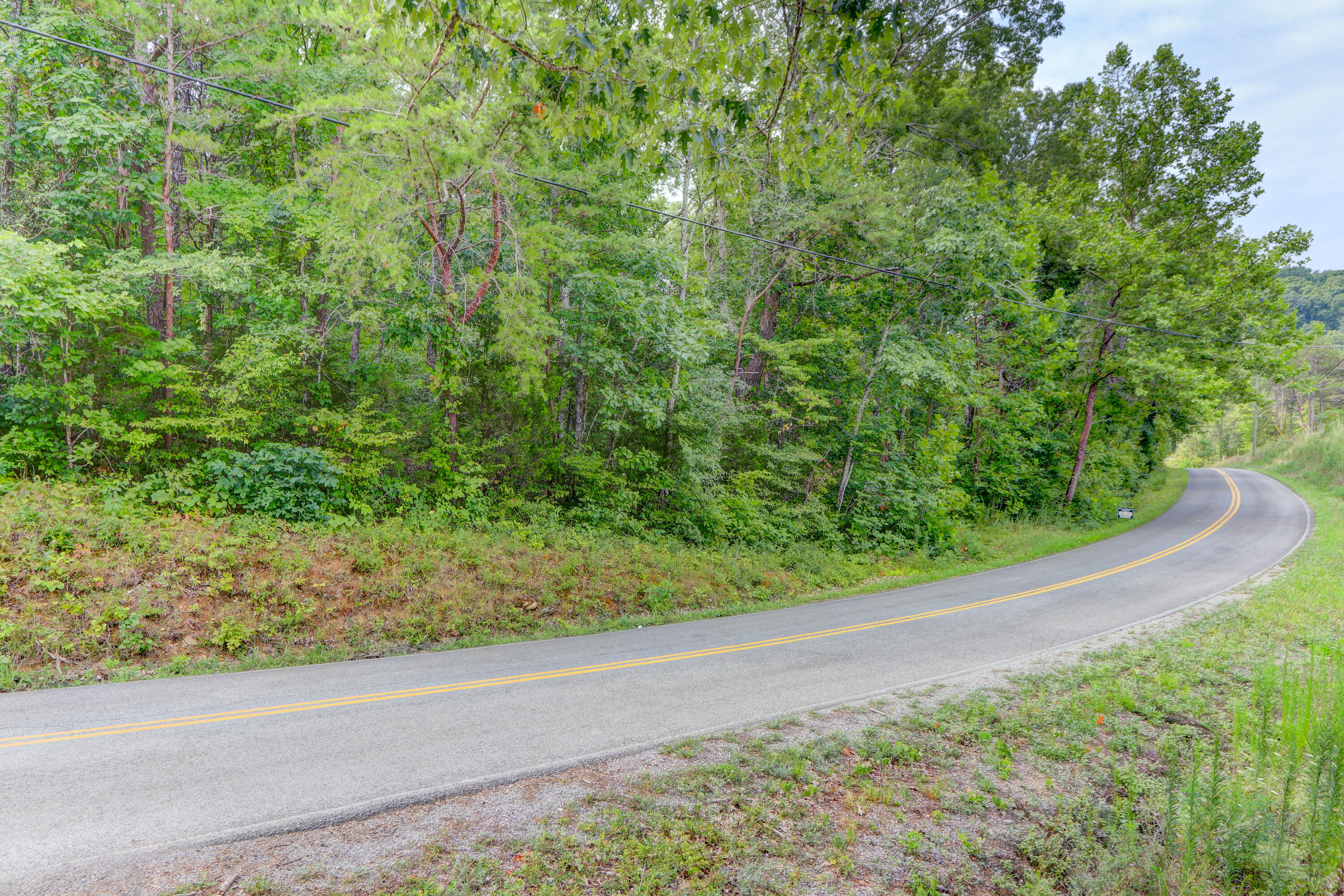 Indian Creek Dandridge, TN 37725 - Photo 7 of 14 Positive Perceptions-1