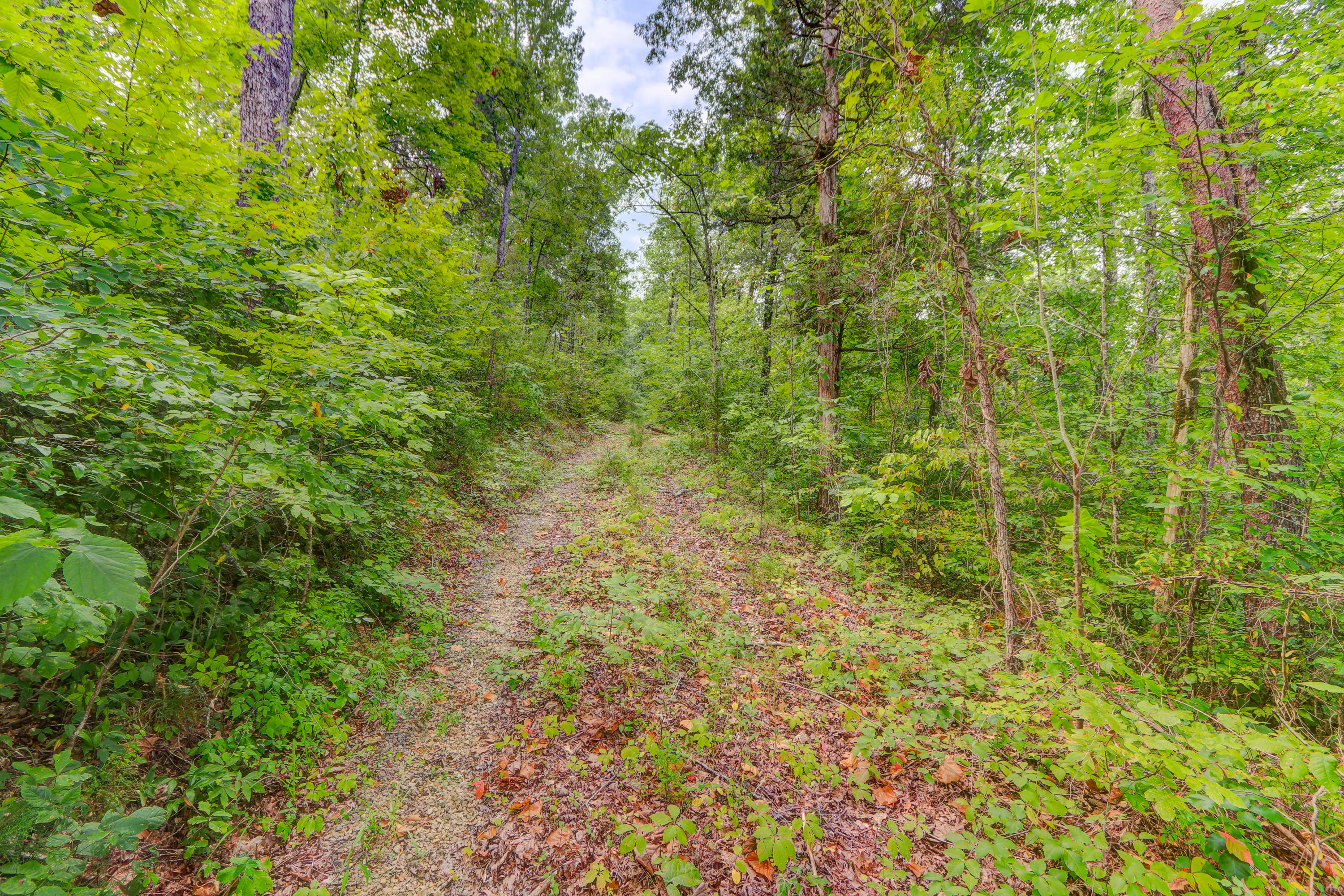 Indian Creek Dandridge, TN 37725 - Photo 8 of 14 Positive Perceptions-2