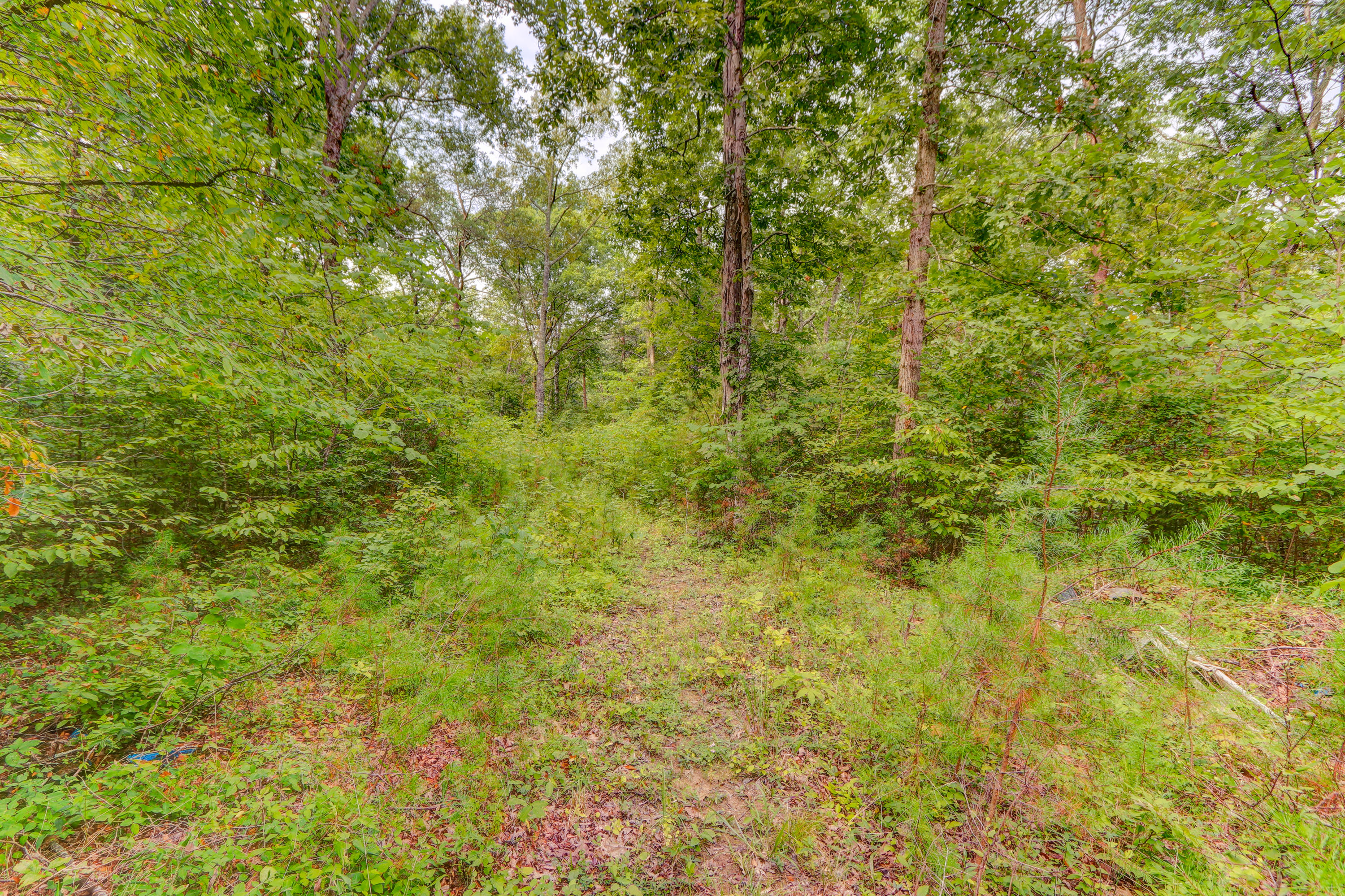 Indian Creek Dandridge, TN 37725 - Photo 9 of 14 Positive Perceptions-3