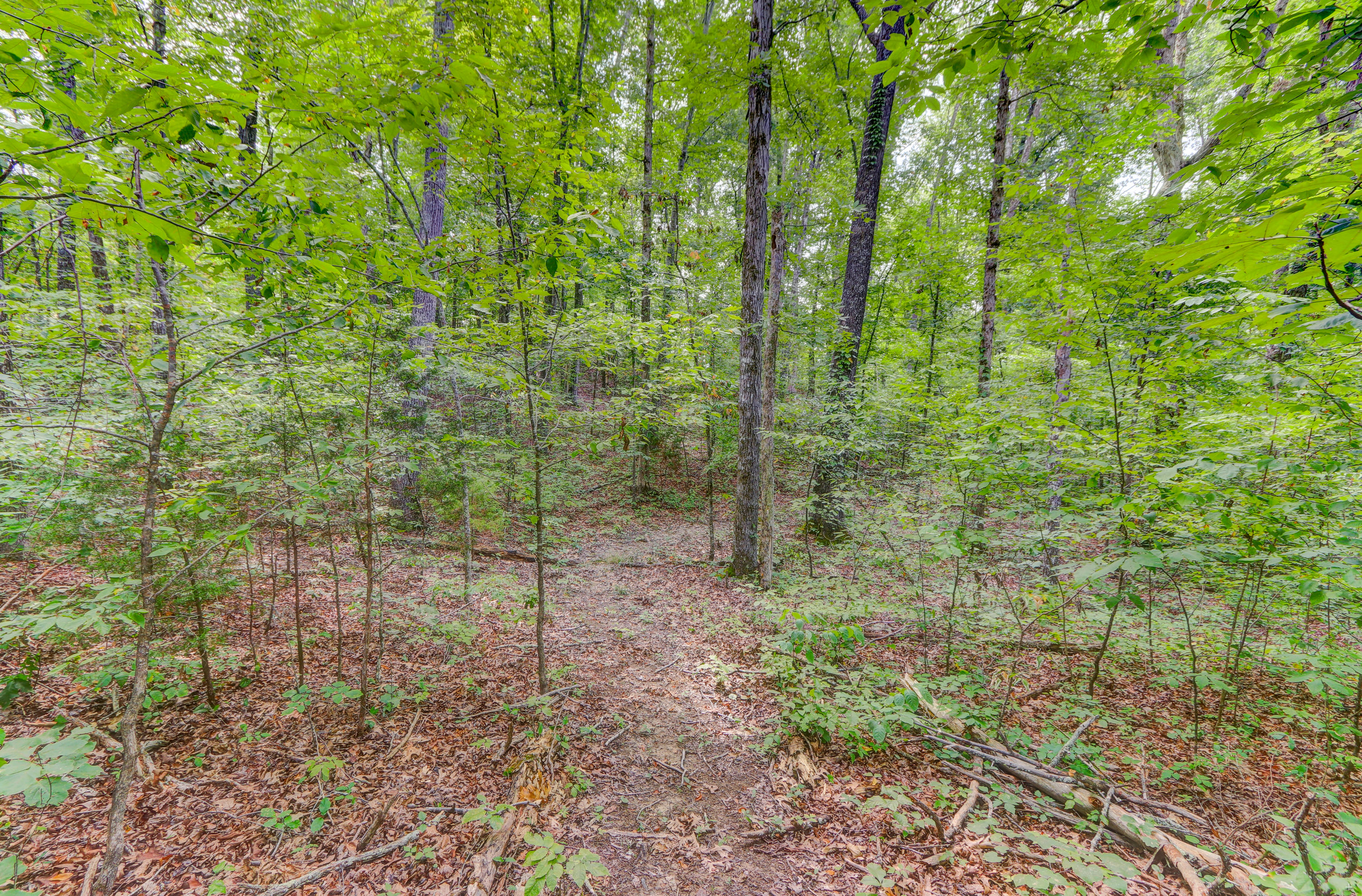 Indian Creek Dandridge, TN 37725 - Photo 10 of 14 Positive Perceptions-4