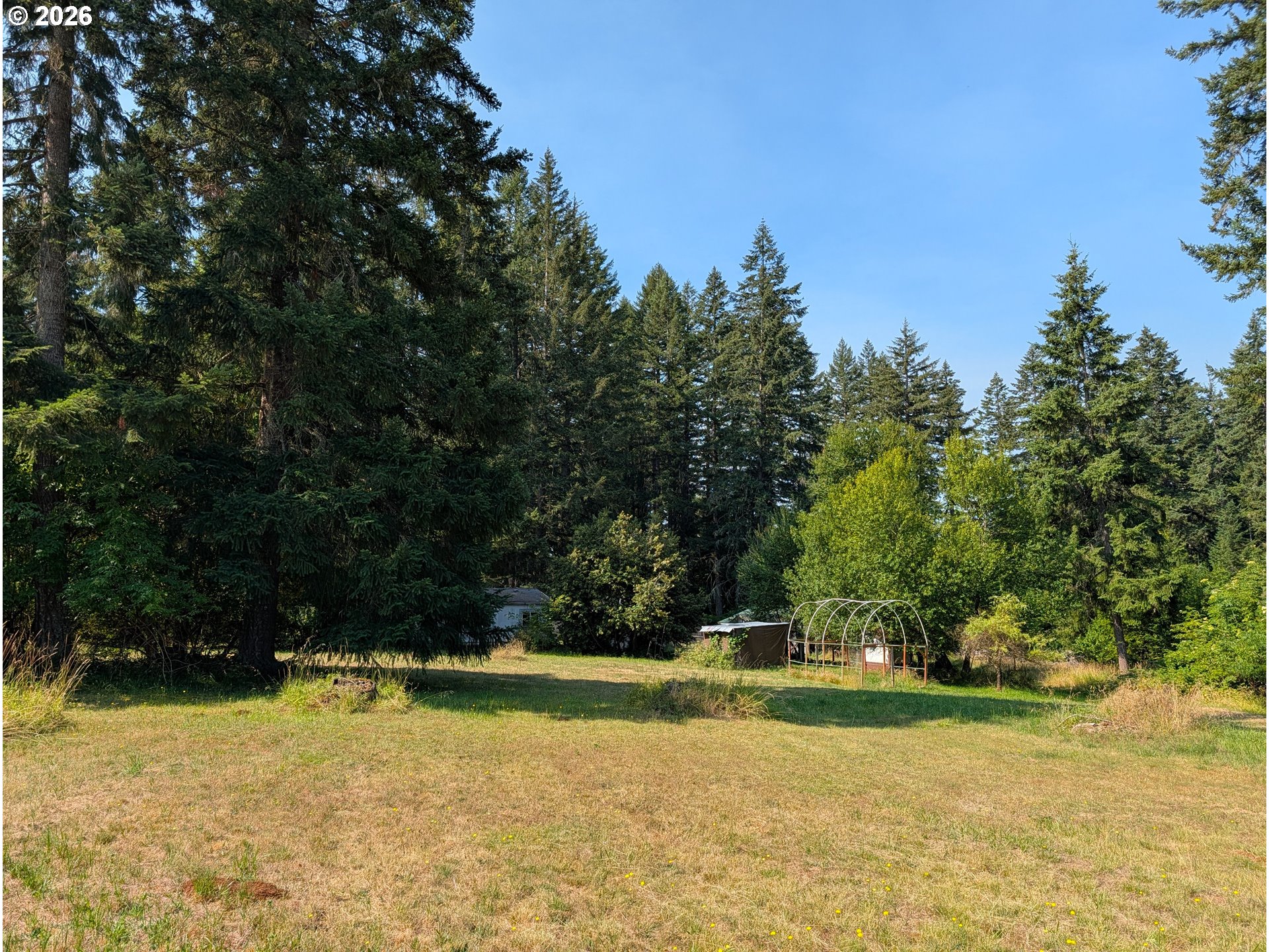 49241 Mountain View Road Oakridge, OR 97463 - Photo 3 of 46 Gallery Image 3