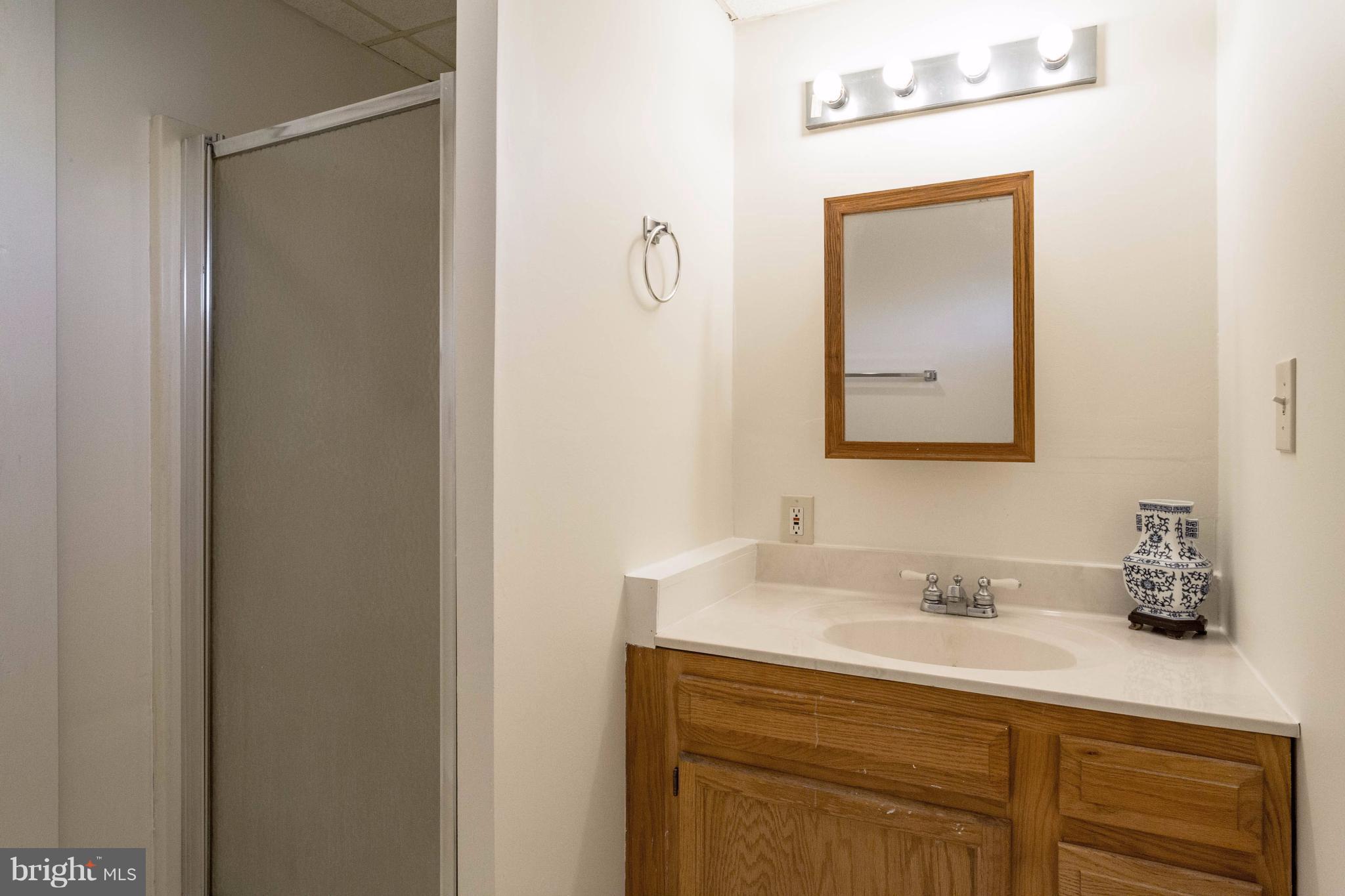 352 Poplar Road Fredericksburg, VA 22406 - Photo 23 of 30 Full Bath in Basement