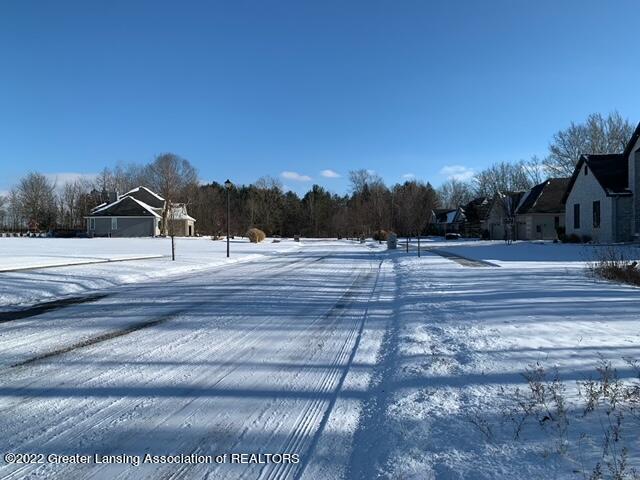 Lot 25 Dimond Way Dimondale, MI 48821 - Photo 6 of 14 IMG_2318