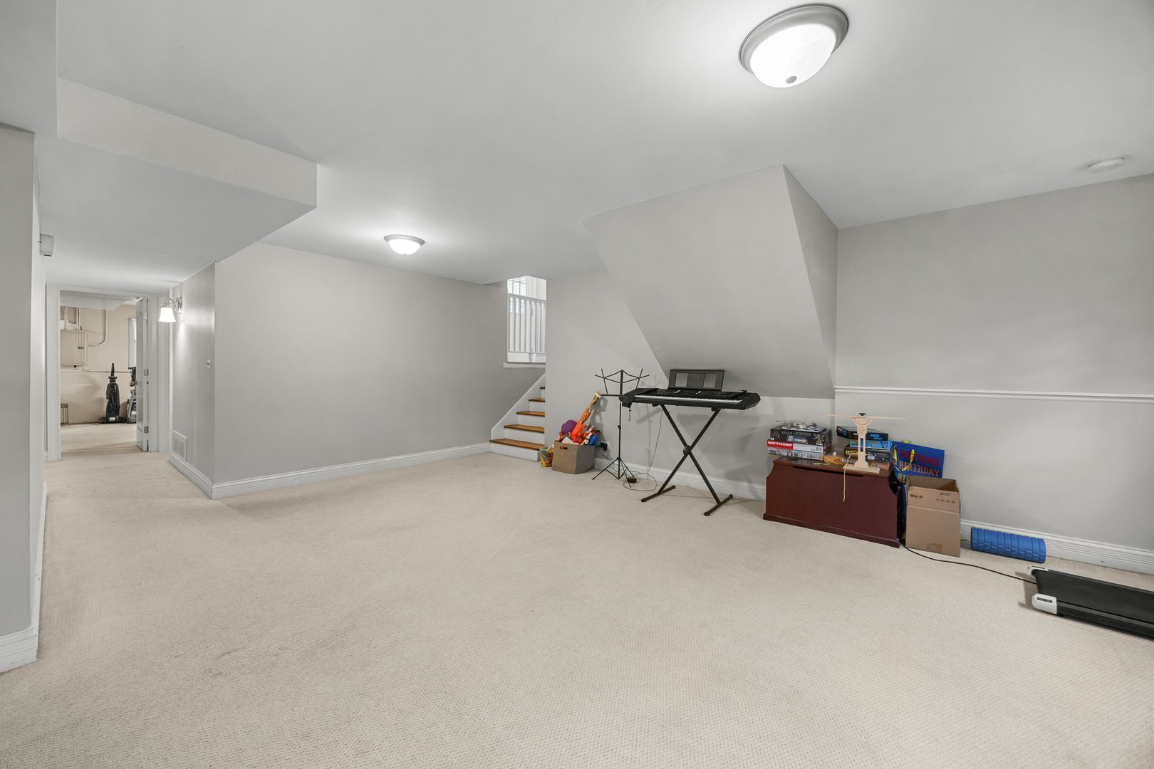 573 Maple Avenue Lisle, IL 60532 - Photo 18 of 33