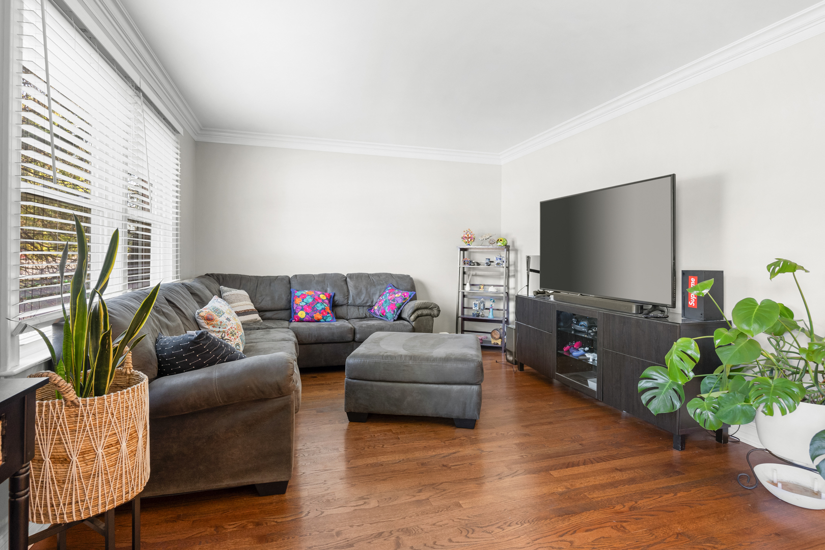 573 Maple Avenue Lisle, IL 60532 - Photo 9 of 33