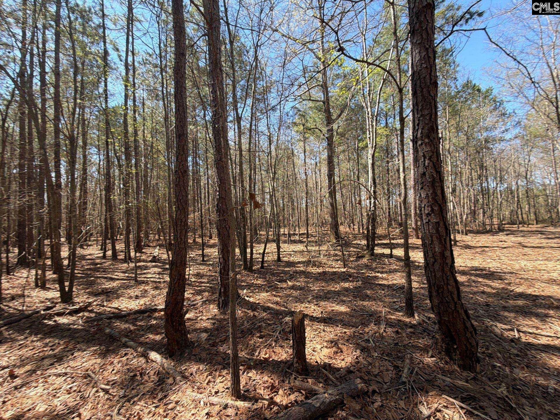 11 Boise Cascade Road, Unit BHL 11 Bethune, SC 29009 - Photo 9 of 24