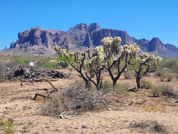 a view of a large mountain in the middle of a yard