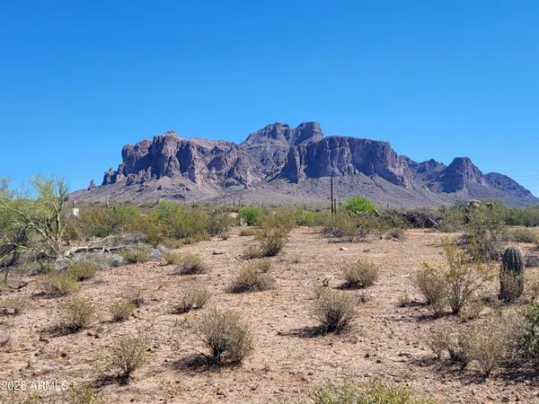 a view of a dry field with lots of bushes
