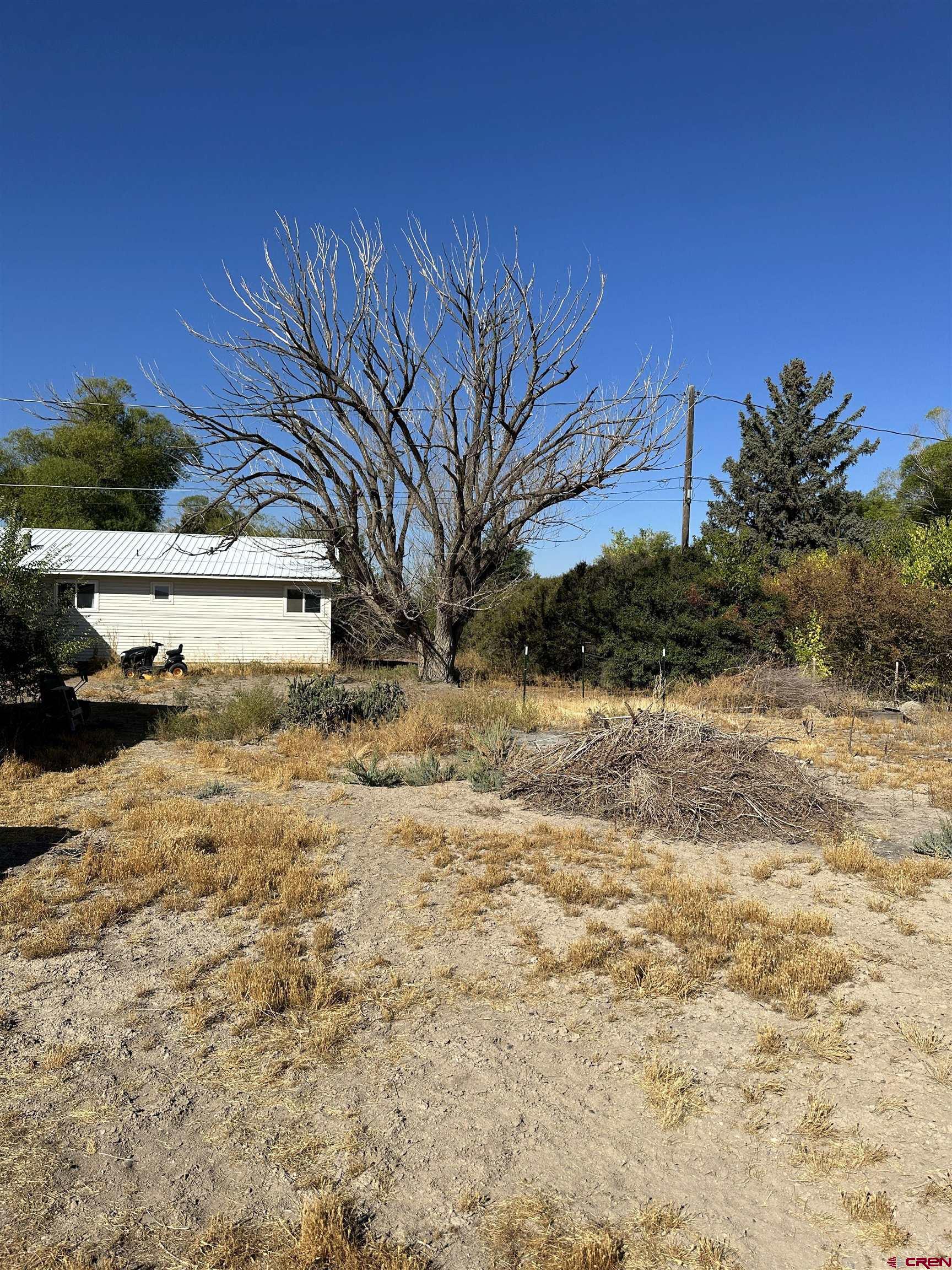 1090 Cloverleaf Lane Delta, CO 81416 - Photo 19 of 30 a view of a yard