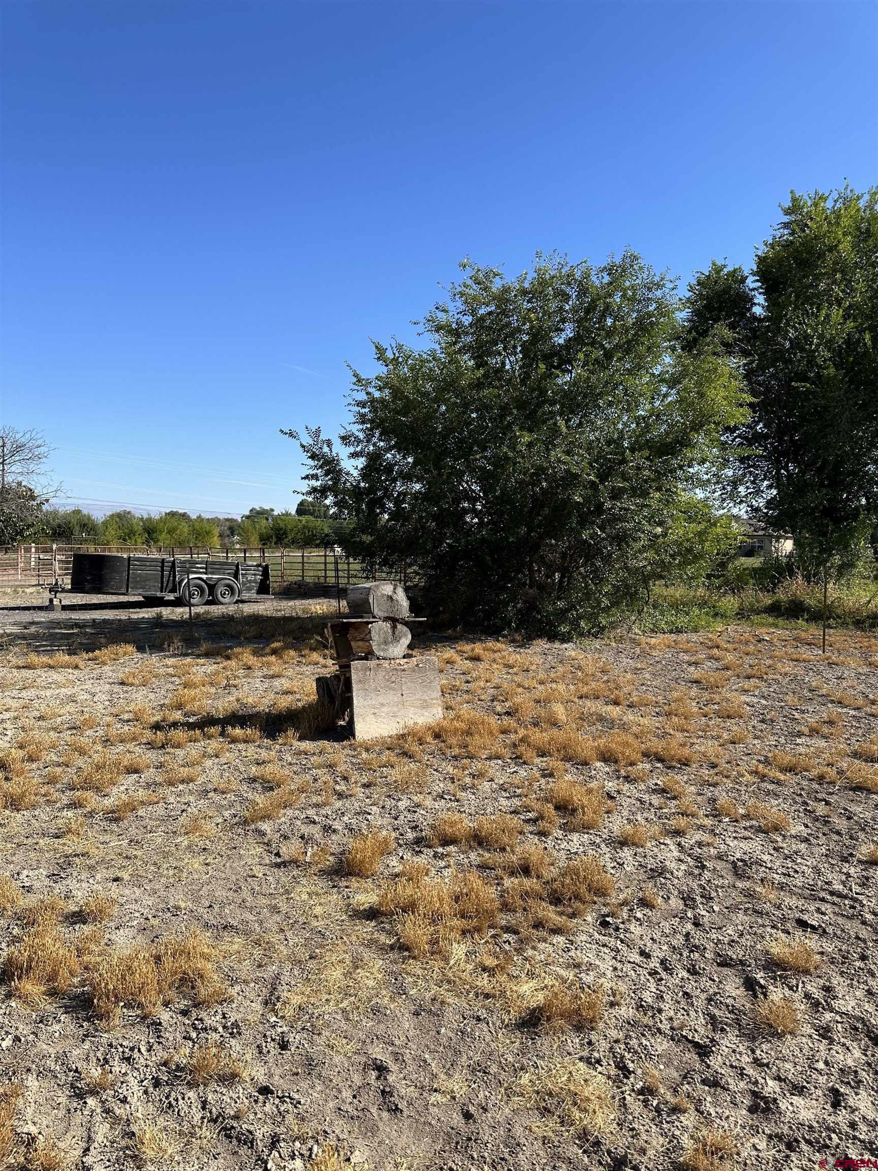 1090 Cloverleaf Lane Delta, CO 81416 - Photo 20 of 30 a garden view
