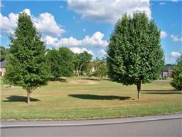 65 A Mann Road Lebanon, TN 37087 - Photo 1 of 3 a view of yard with green space