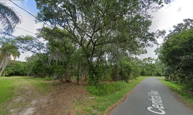 a view of a street with a trees on both side of the road
