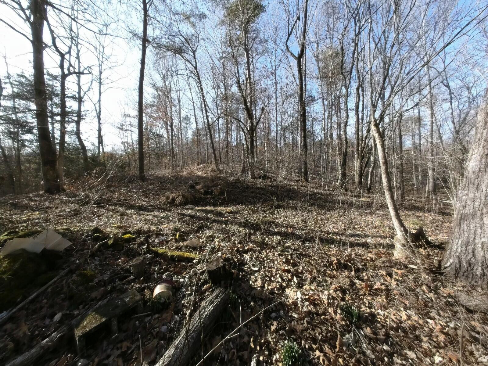 663 Fitch Road Ten Mile, TN 37880 - Photo 12 of 15 Gallery Image 12