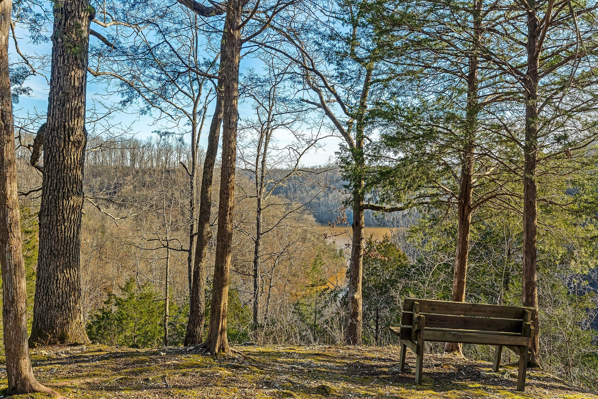 659 Harbor Greens Place Sparta, TN 38583 - Photo 21 of 95