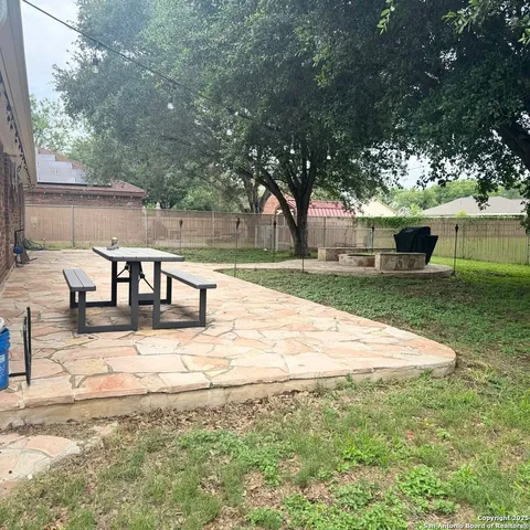 a view of a yard with plants and trees