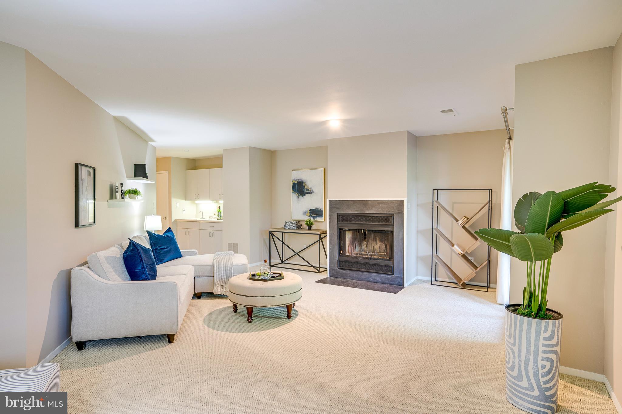 2148 South Bay Lane Reston, VA 20191 - Photo 52 of 73 a living room with furniture a fireplace and a potted plant