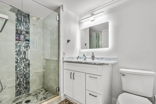 a bathroom with a granite countertop sink toilet a shower and a mirror