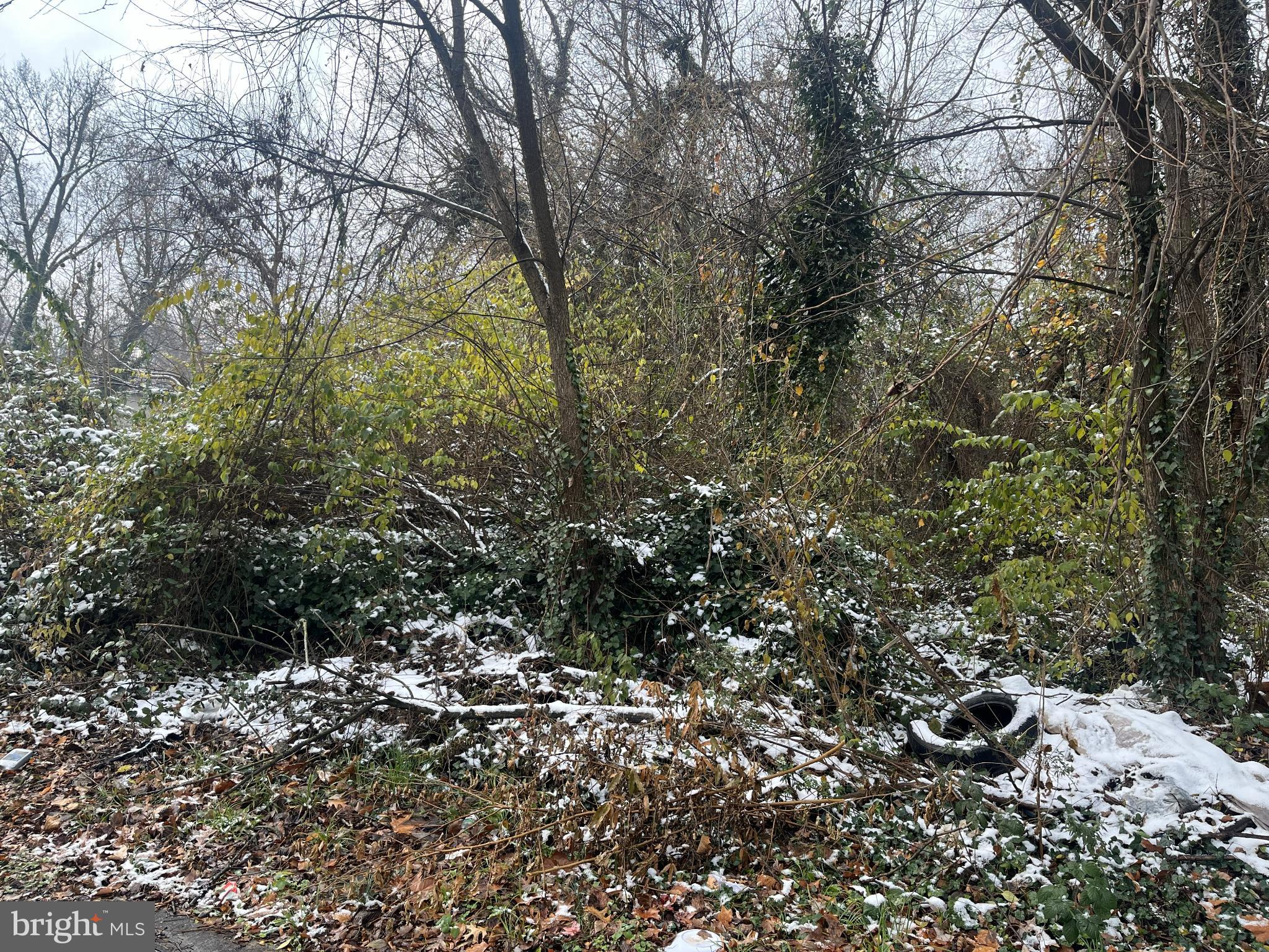 4607 Gunther Street Capitol Heights, MD 20743 - Photo 2 of 5 a view of bushes and trees