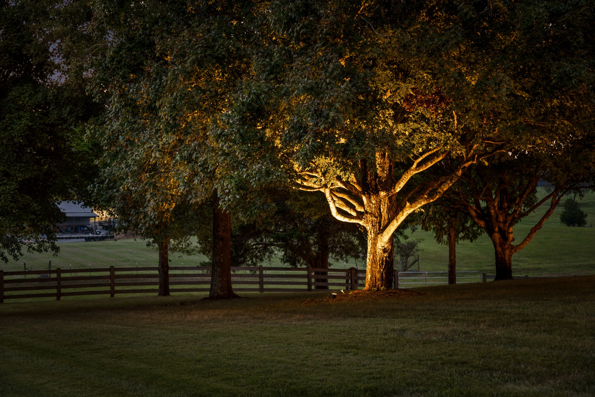 628 Jenkins Road Northeast Cleveland, TN 37312 - Photo 17 of 79 Gallery Image 17