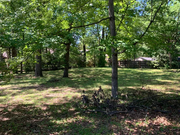 a view of a trees in a yard