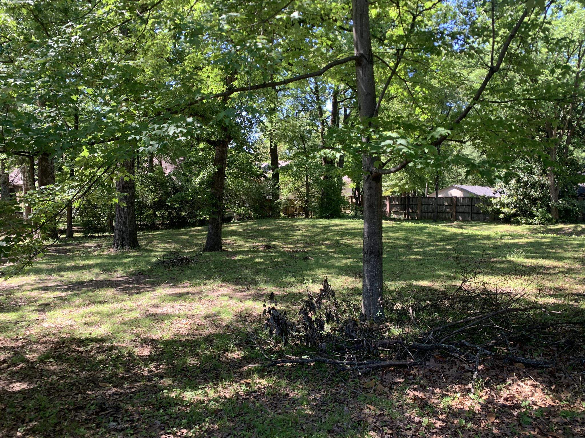 901 South Perkins Road Memphis, TN 38117 - Photo 1 of 13 a view of a trees in a yard