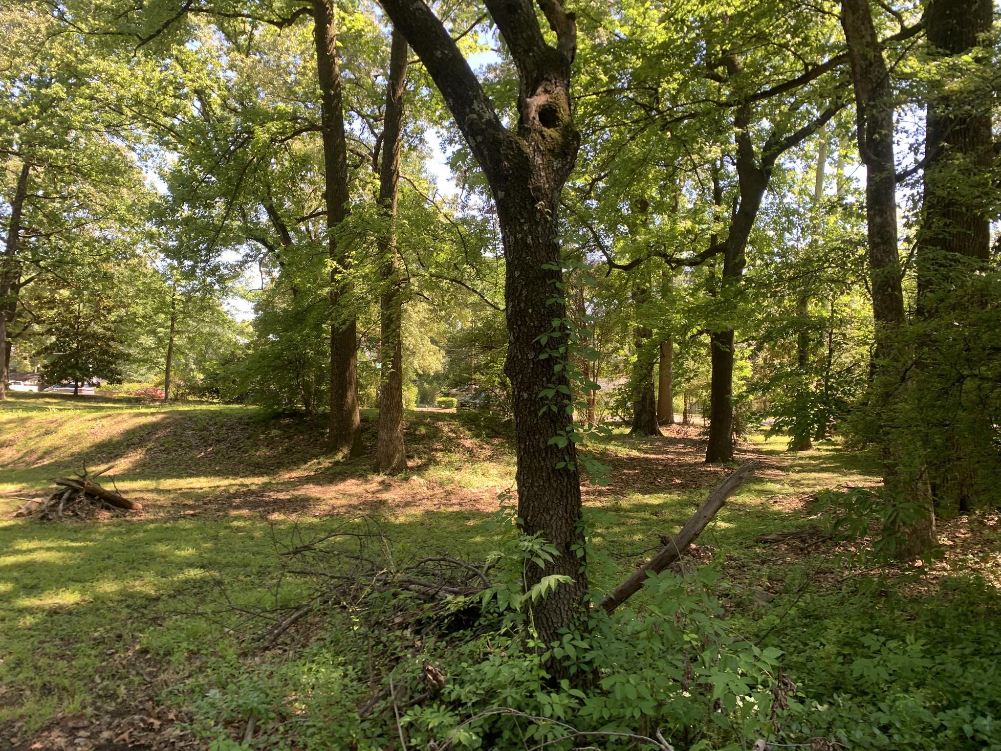 901 South Perkins Road Memphis, TN 38117 - Photo 11 of 13 a view of yard with green space and trees