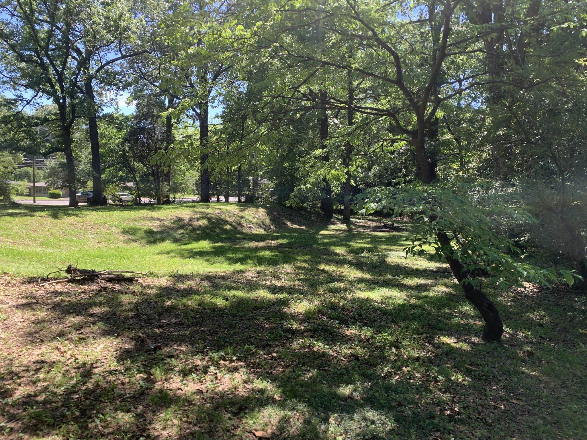 901 South Perkins Road Memphis, TN 38117 - Photo 13 of 13 a view of a golf course with trees