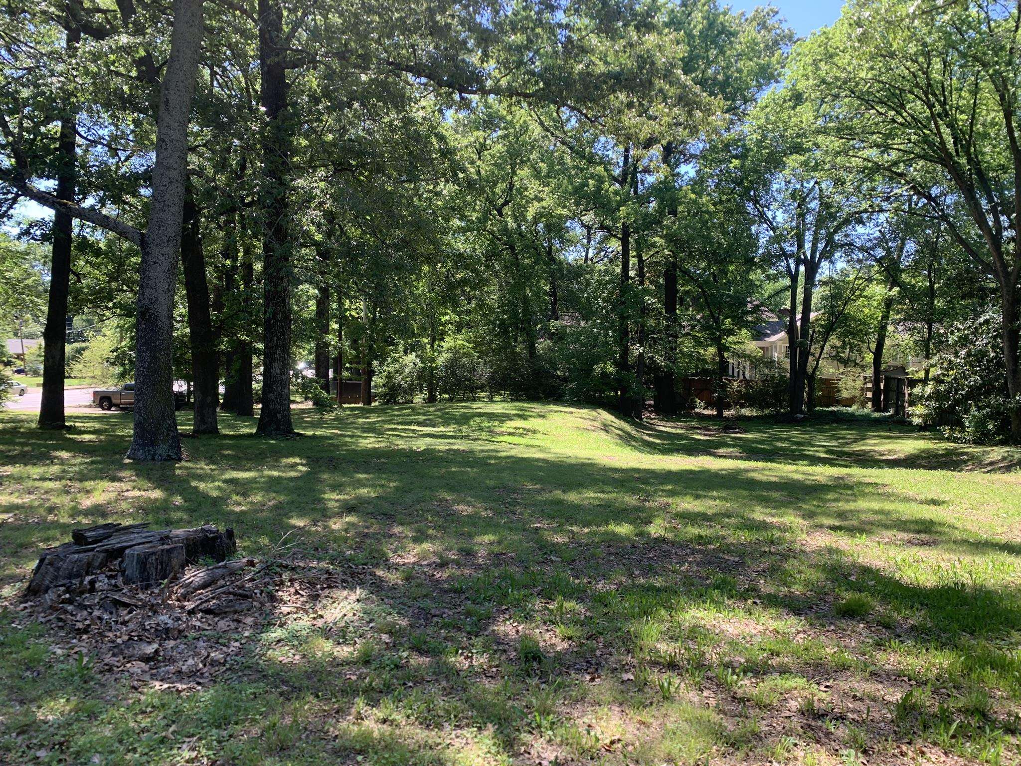 901 South Perkins Road Memphis, TN 38117 - Photo 5 of 13 a view of swimming pool with a yard