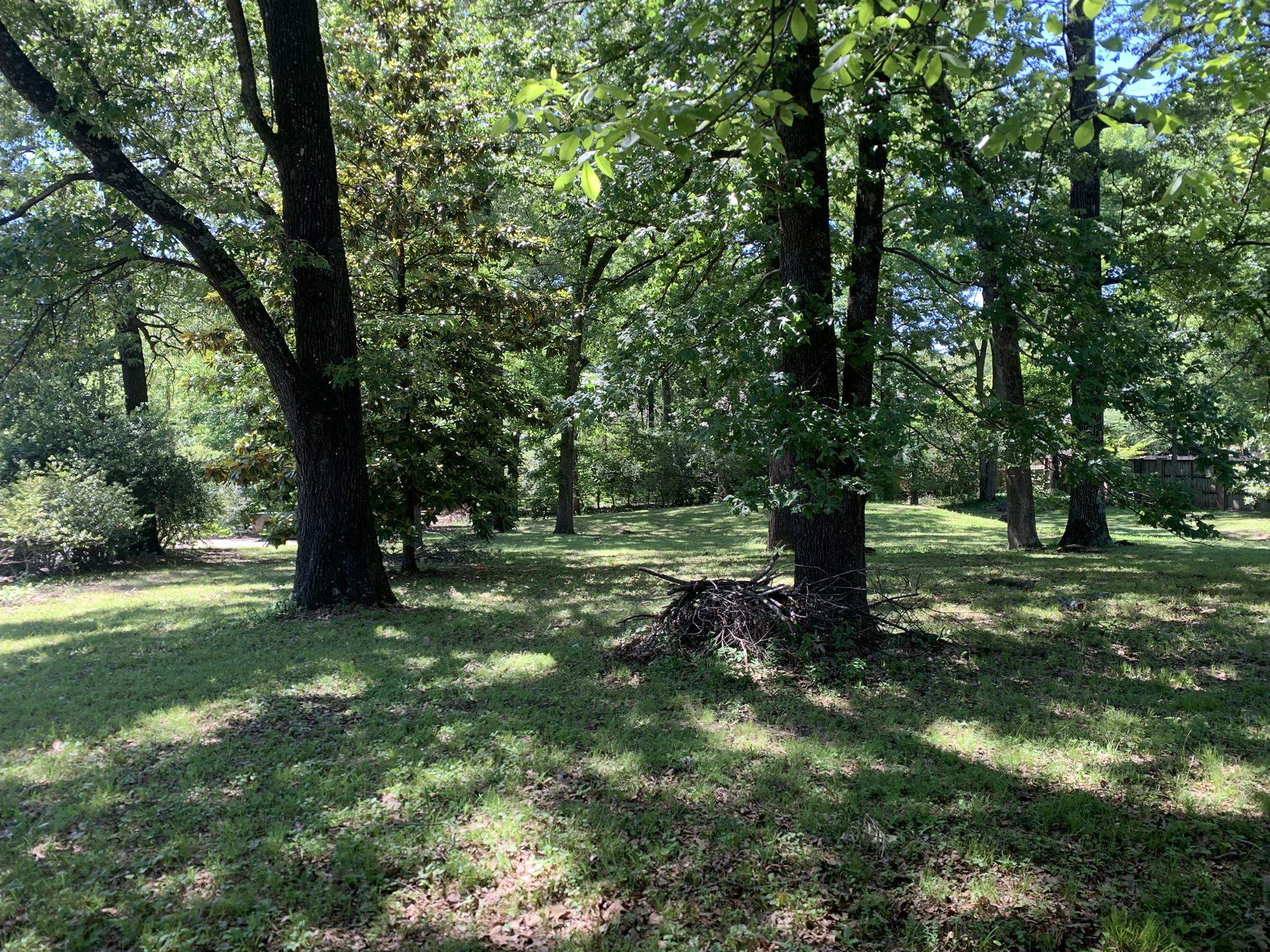 901 South Perkins Road Memphis, TN 38117 - Photo 7 of 13 a view of a trees with a yard