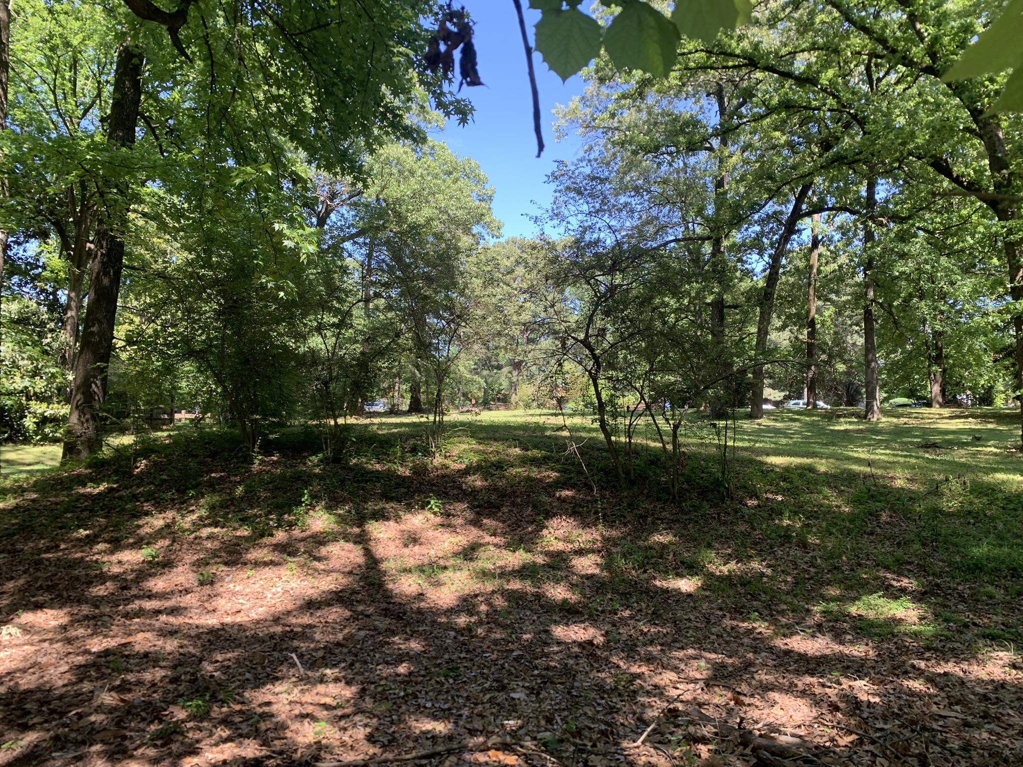 901 South Perkins Road Memphis, TN 38117 - Photo 9 of 13 a view of a yard