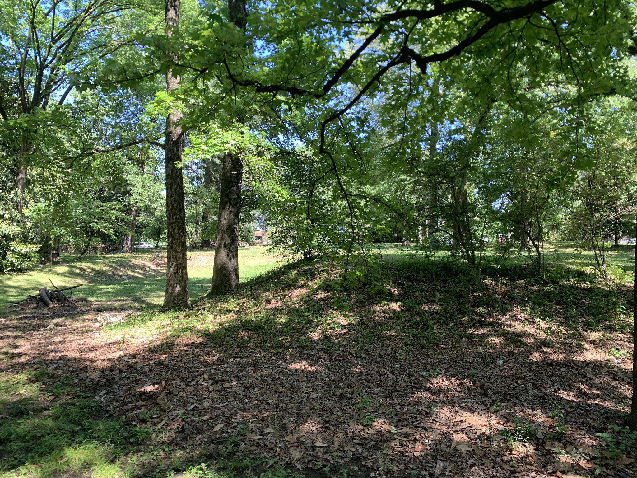 901 South Perkins Road Memphis, TN 38117 - Photo 10 of 13 a view of outdoor space and yard