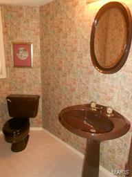21 Broadview Farm Road Creve Coeur, MO 63141 - Photo 15 of 30 Gallery Image 15