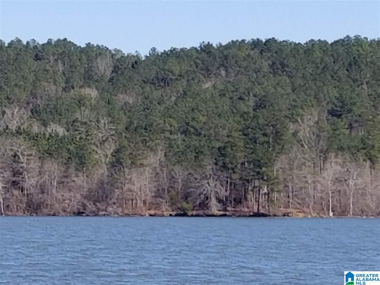 0 Daybreak Curve, Unit LOT 8 Rockford, AL 35136 - Photo 1 of 3
